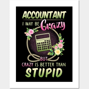 Accountant Posters and Art